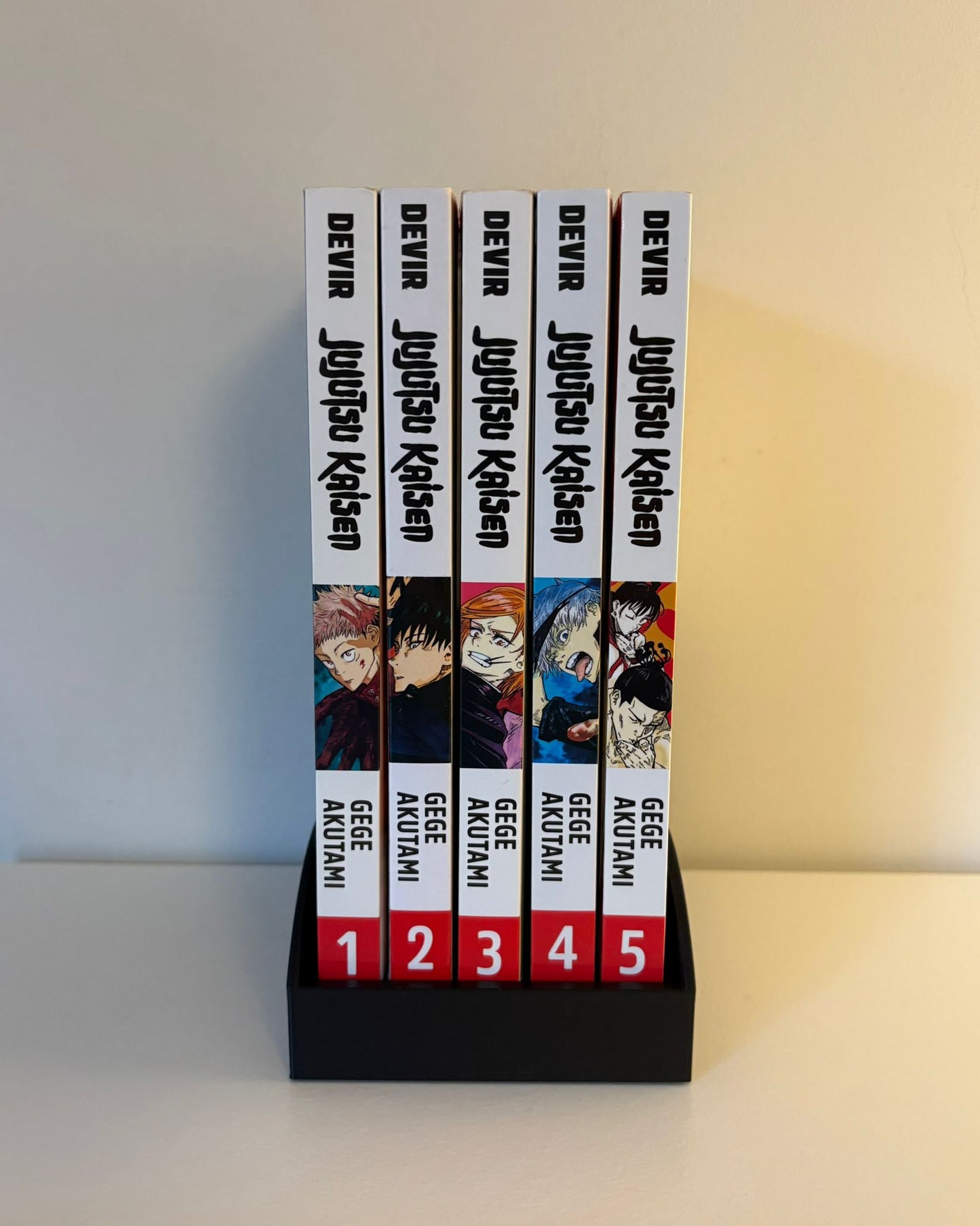 Manga Holder